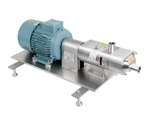 Twin screw pump with motor directly